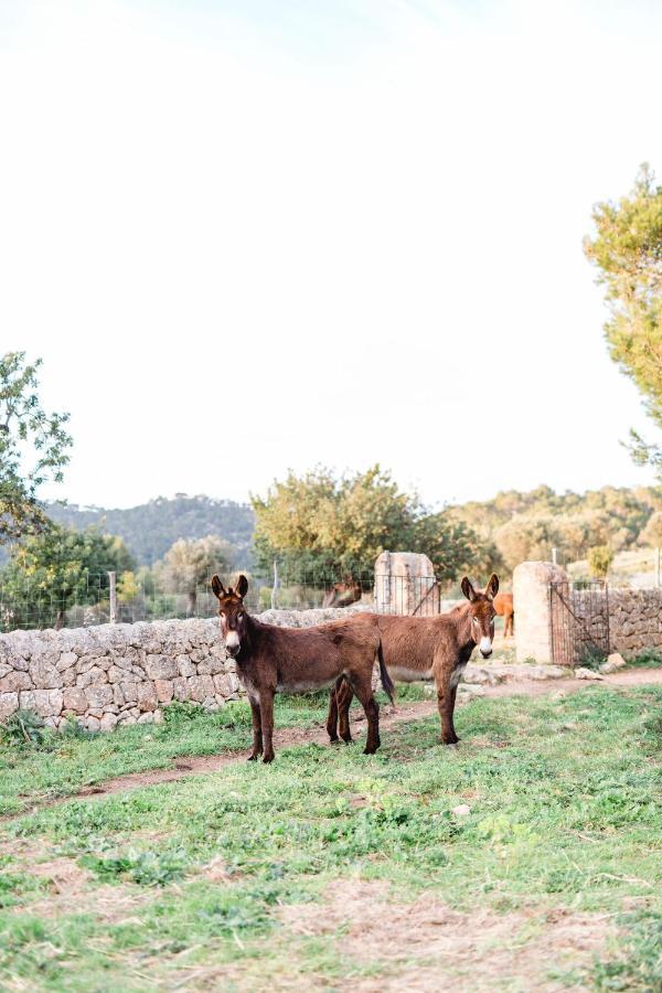 Finca Es Cabas 산타 마리아 델 카미 외부 사진