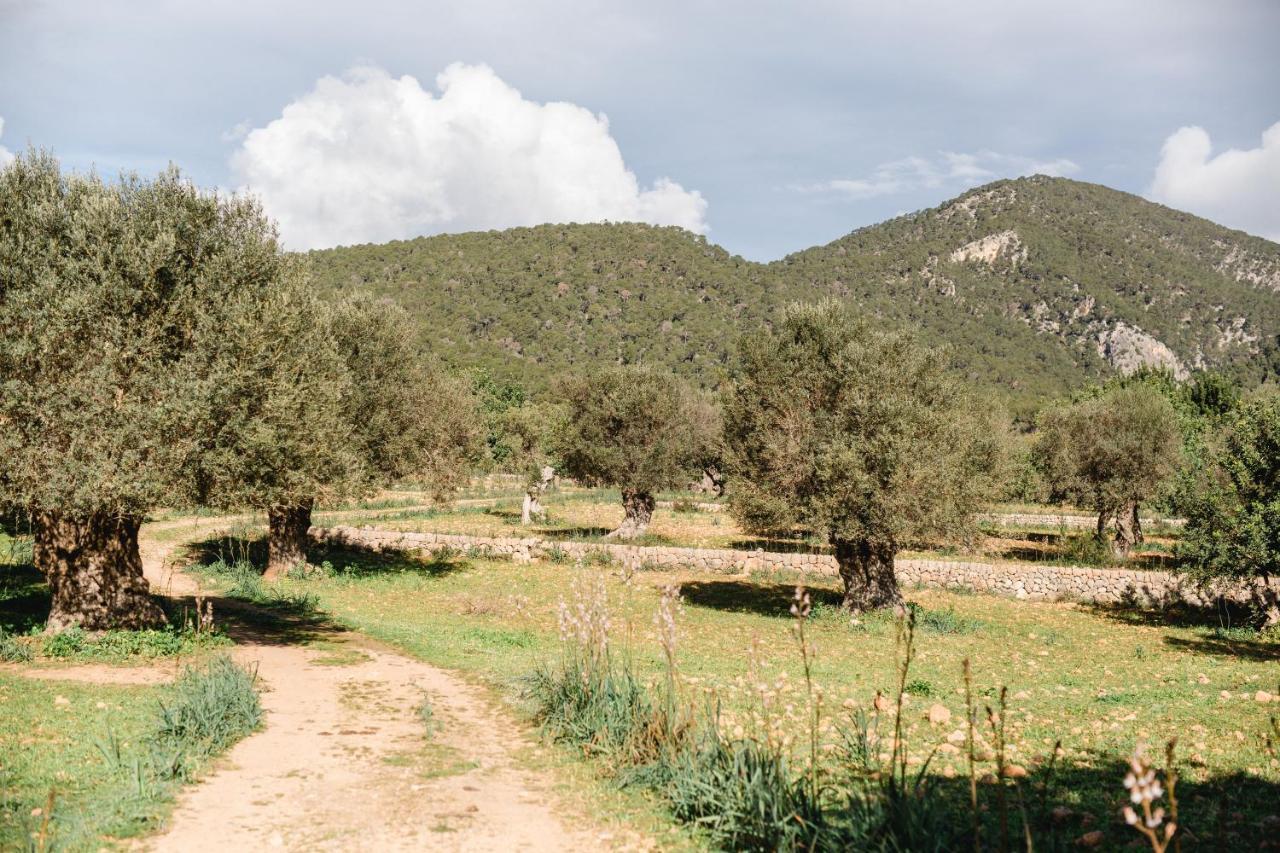 Finca Es Cabas 산타 마리아 델 카미 외부 사진